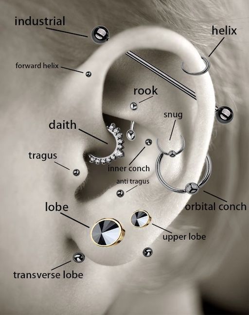 Body piercing types - Ear Piercings
